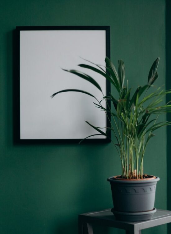 Bringing Nature Indoors